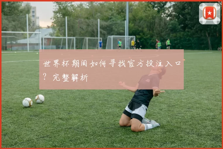 世界杯期间如何寻找官方投注入口?完整解析