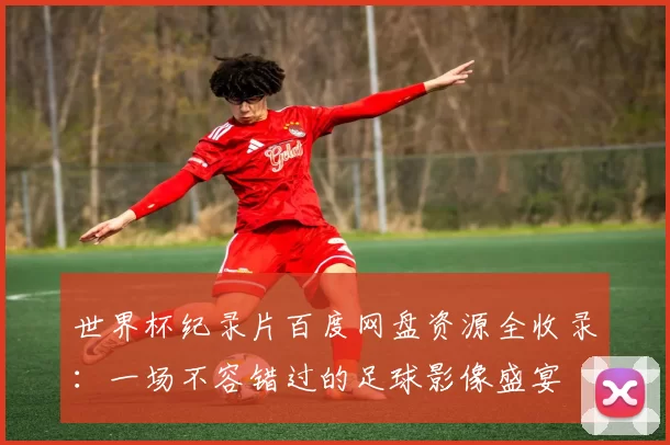 世界杯纪录片百度网盘资源全收录:一场不容错过的足球影像盛宴
