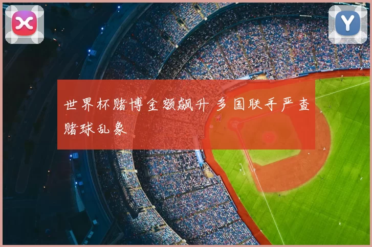 世界杯赌博金额飙升 多国联手严查赌球乱象
