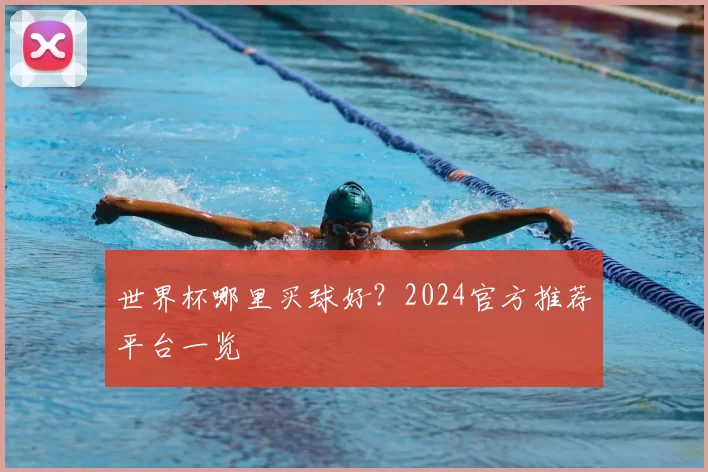世界杯哪里买球好?2024官方推荐平台一览