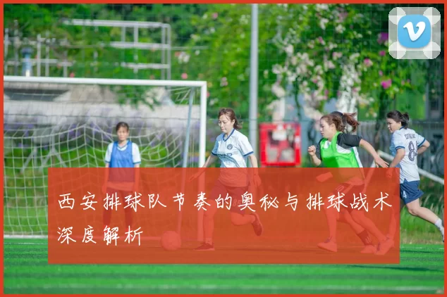 西安排球队节奏的奥秘与排球战术深度解析