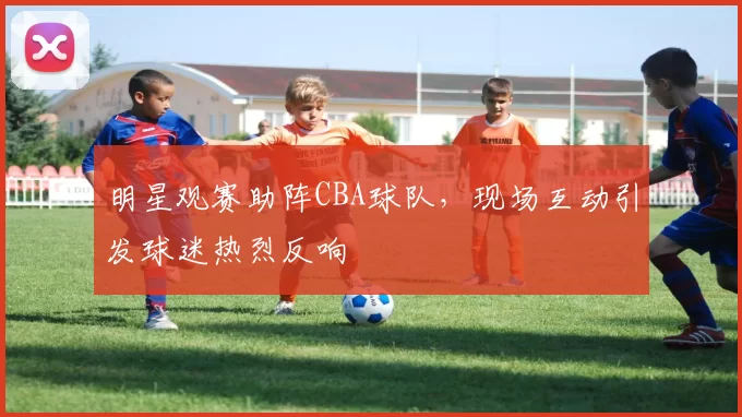 明星观赛助阵CBA球队，现场互动引发球迷热烈反响