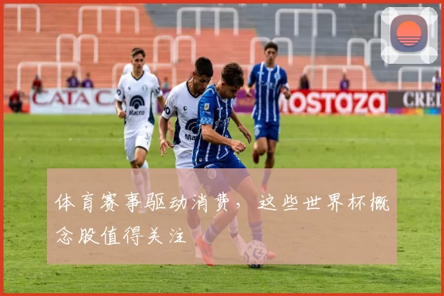 体育赛事驱动消费,这些世界杯概念股值得关注