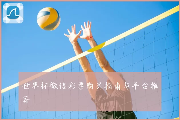 世界杯微信彩票购买指南与平台推荐