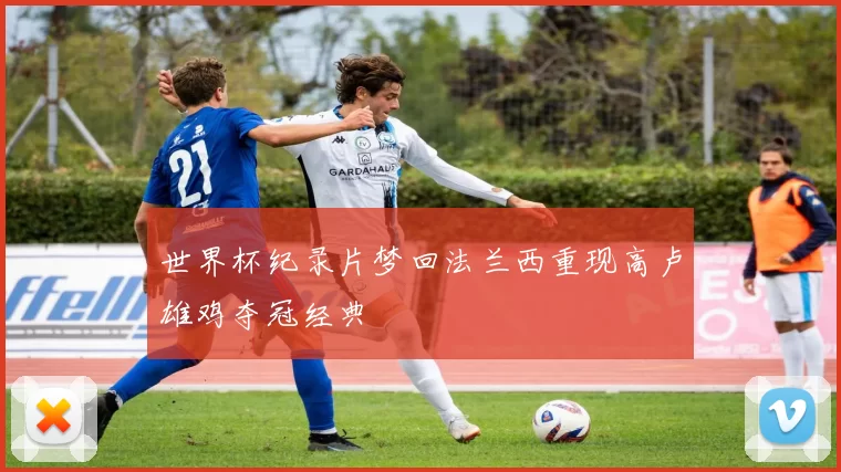 世界杯纪录片梦回法兰西重现高卢雄鸡夺冠经典