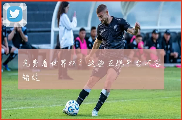 免费看世界杯?这些正规平台不容错过