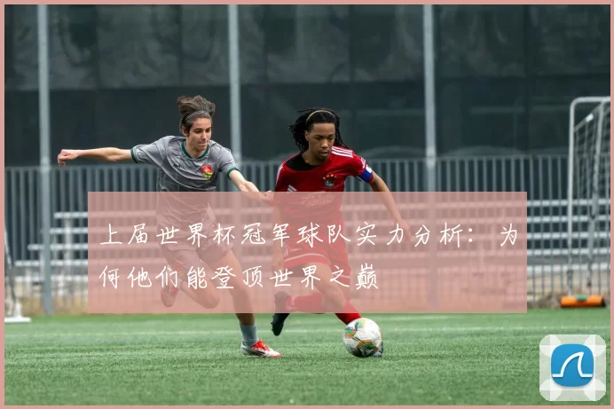 上届世界杯冠军球队实力分析:为何他们能登顶世界之巅