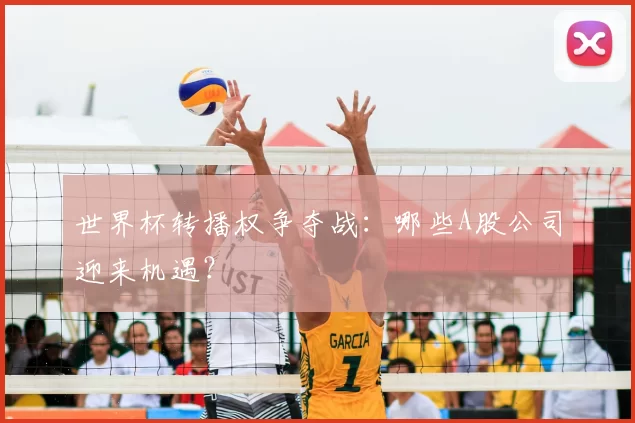 世界杯转播权争夺战:哪些A股公司迎来机遇?