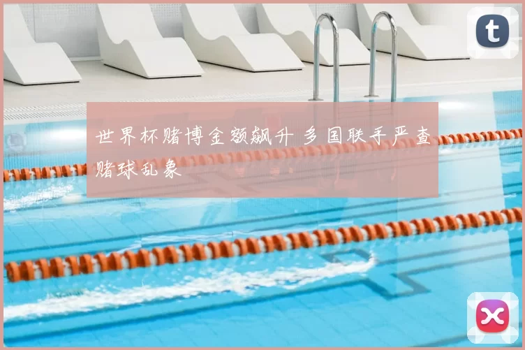 世界杯赌博金额飙升 多国联手严查赌球乱象