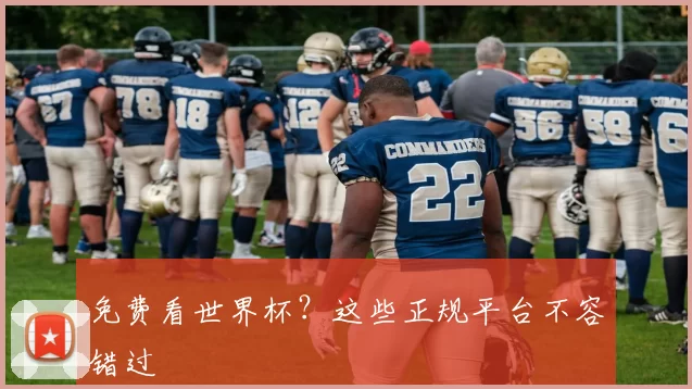 免费看世界杯?这些正规平台不容错过