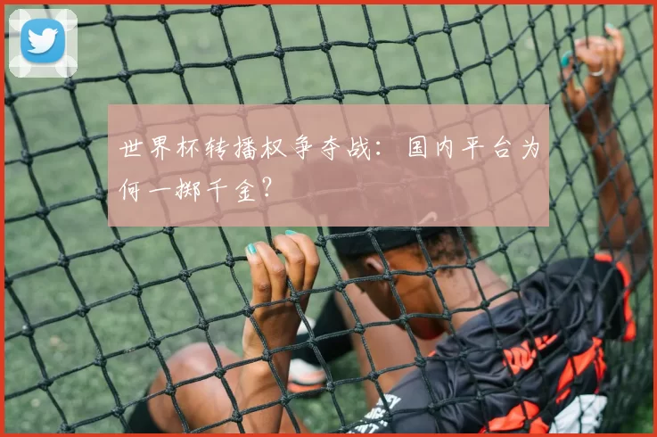 世界杯转播权争夺战:国内平台为何一掷千金?