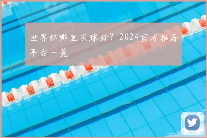 世界杯哪里买球好?2024官方推荐平台一览